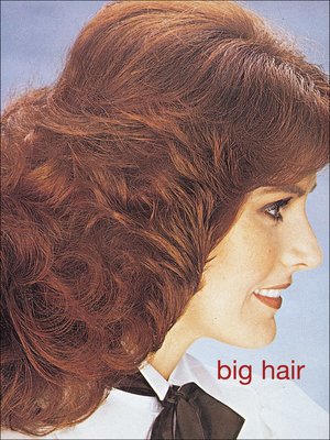 cover image of Big Hair